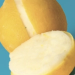 Citron givrée